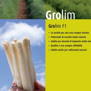 GROLIM AGRICOLADEMARCHI