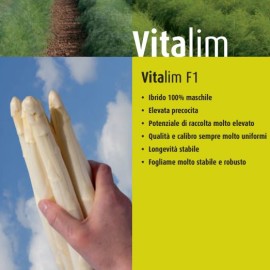 asparago vitalin sito 1